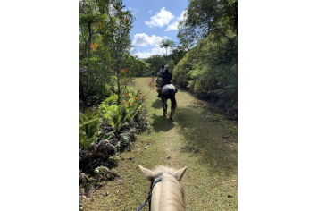  La Foa Randonnées_La Foa